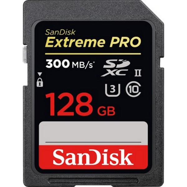 Карта памяті SDXC 128 GB class 10 SanDisk UHS-II, 128 GB SDXC UHS-II U3 Extreme Pro SDSDXPK-128G-GN4IN
Карта памяті SDXC 128 GB class 10 SanDisk UHS-II, 128 GB SDXC UHS-II U3 Extreme Pro SDSDXPK-128G-GN4IN