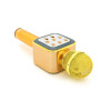 МІКРОФОН VOLTRONIC WS-1818 YELLOW 1