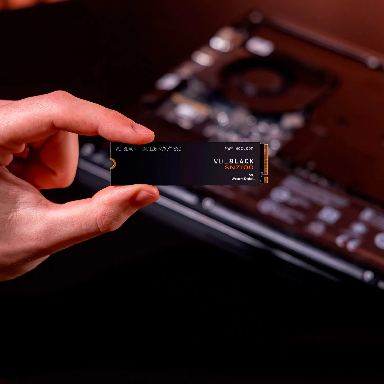ssd-disk-wd-black-sn7100-