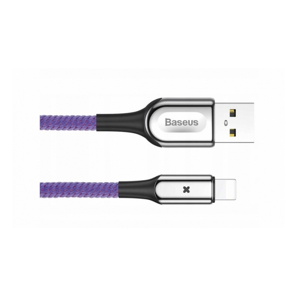 

Кабель USB (папа) = Apple Lightning 1 м Baseus X-type 2.4A Purple, CALXD-B05