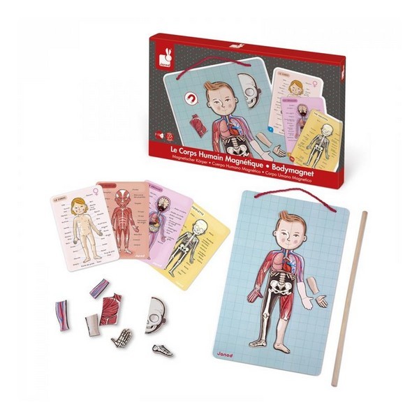 Ігровий набір Janod Тіло людини J05491 магнітний