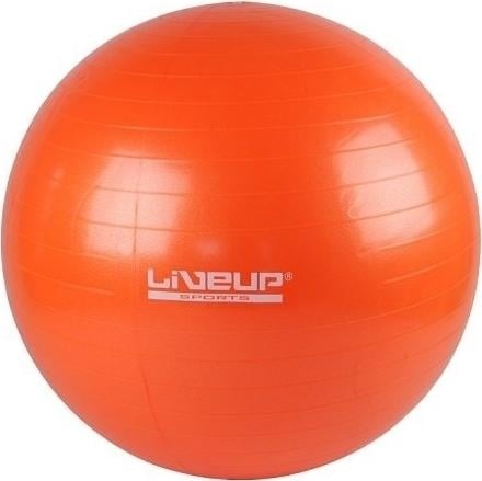 Фітбол LiveUp GYM BALL (LS3221-55o)