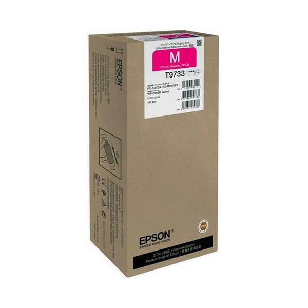 

Картридж Epson C13T973300, C13T973300
