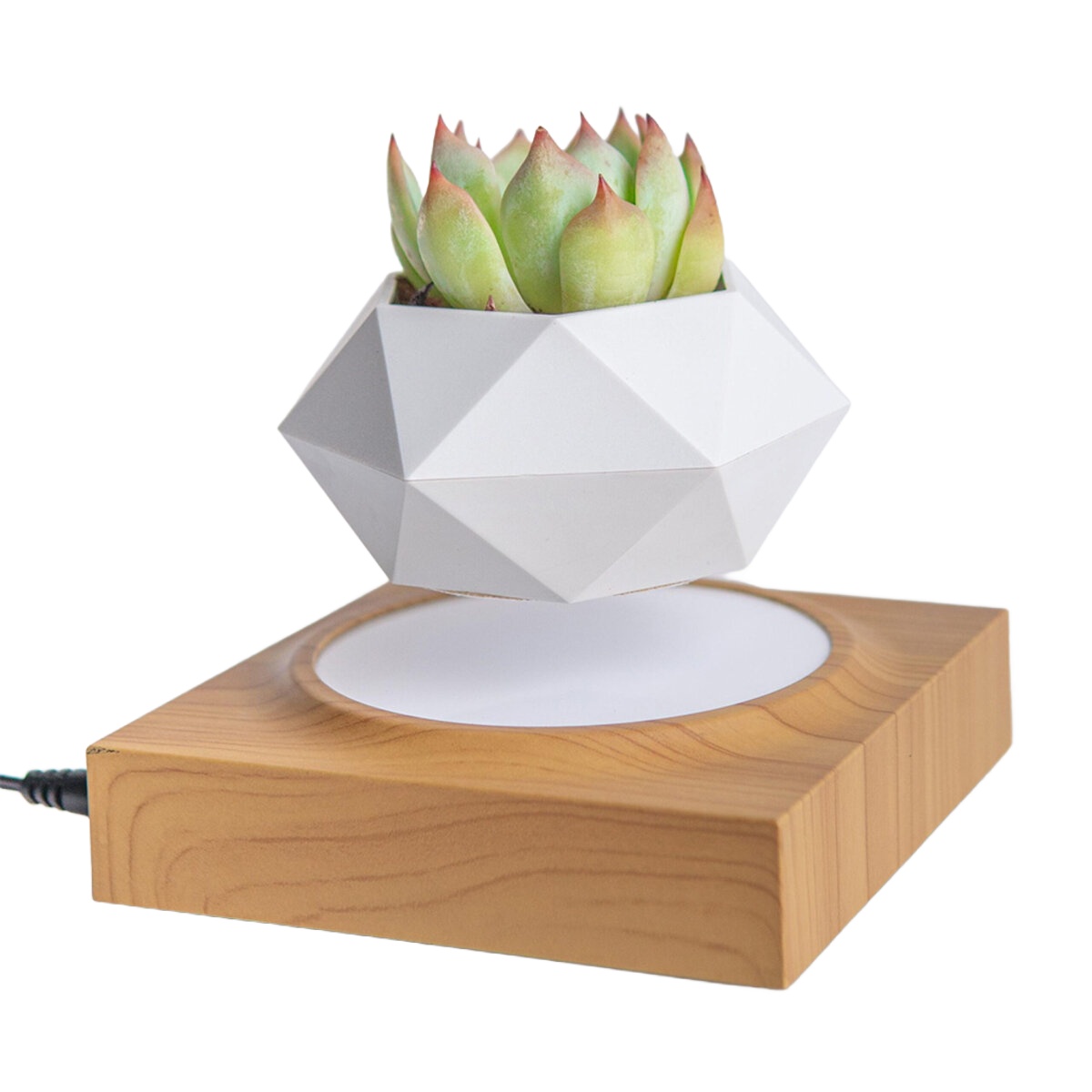 Магнітний левітаційний горщик для рослин HCNT Magnetic Levitating Pot M10-FP Wood Grain