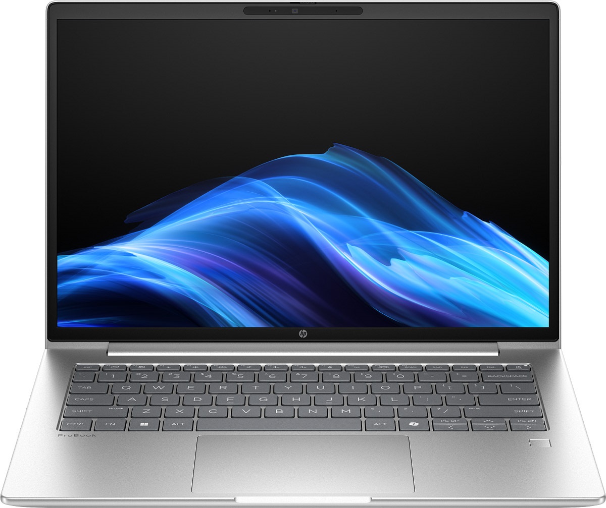 Ноутбук HP ProBook 4 G1a (AX6J0AV_V1) Pike Silver
