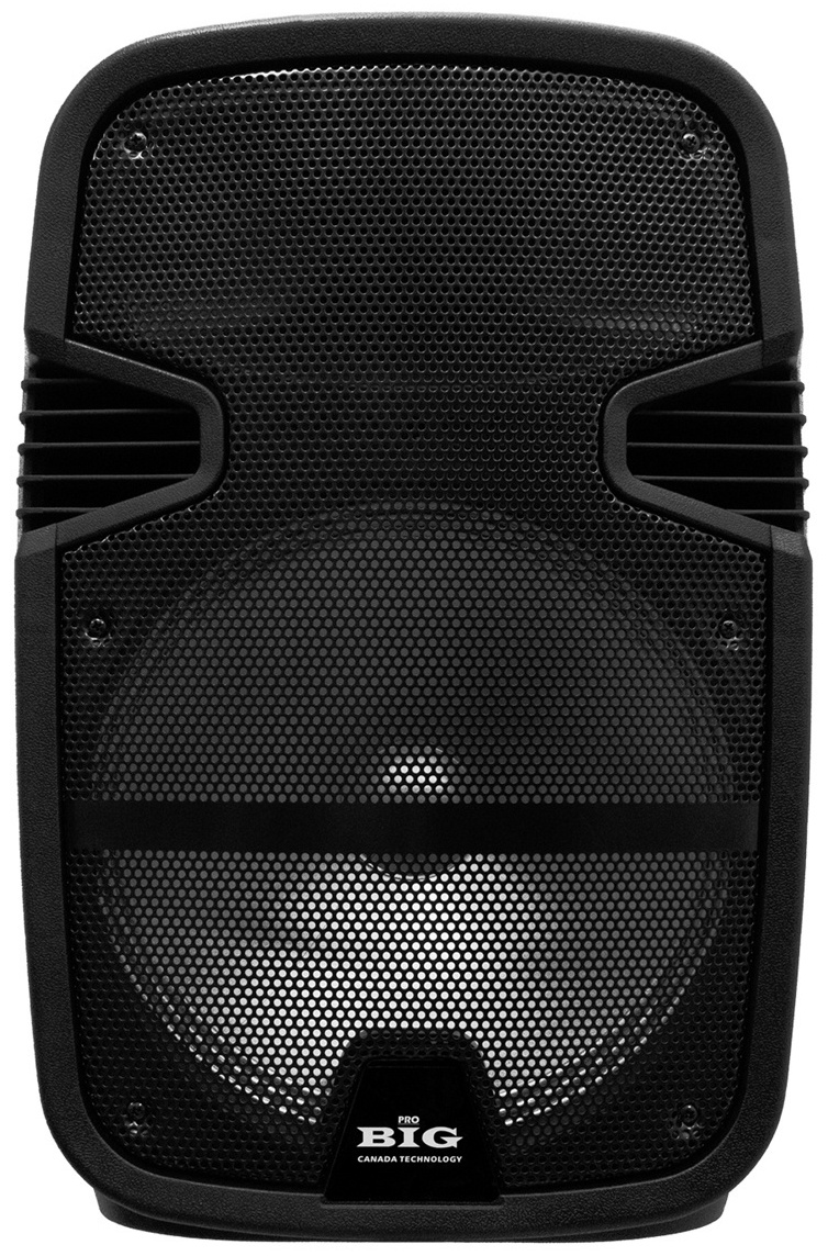 Акустика портативна Big JB12RECHARGE350 LIGHT USB/MP3/FM/BT/ + 2pcs VHF mic Black Big - купити в Україні