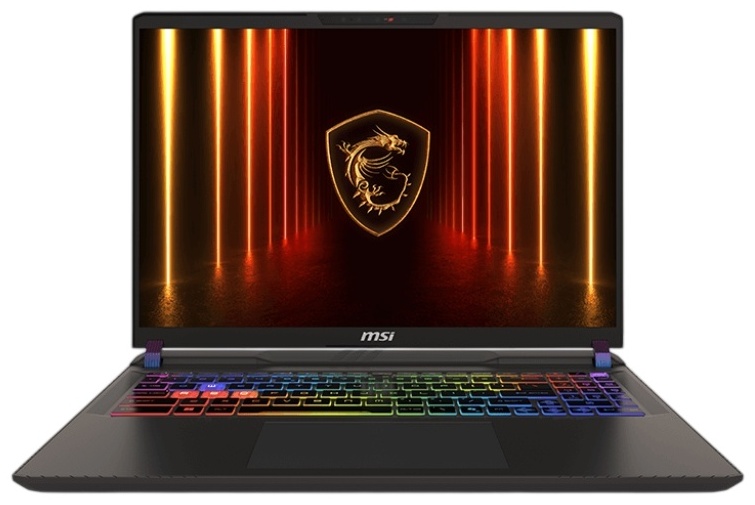 Ноутбук MSI Vector 16 HX (A2XWHG-27322) Cosmos Gray