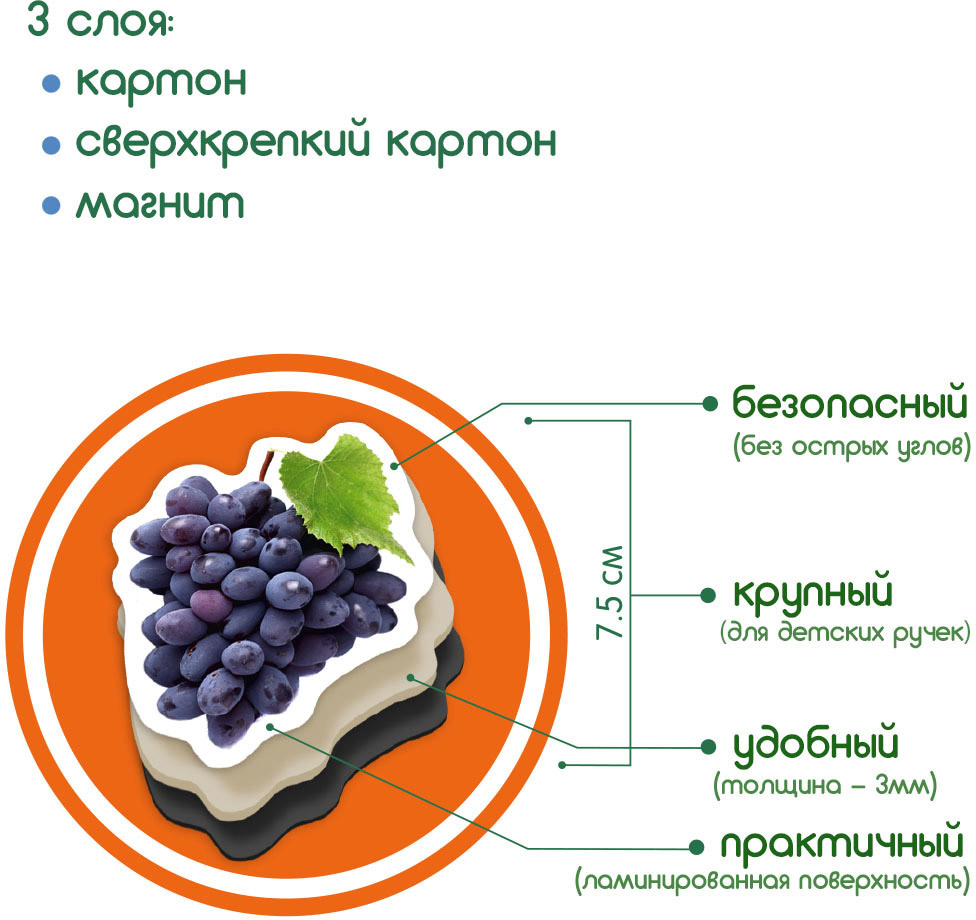 Розвиваюча іграшка для малюків Magdum ML4031-11 EN Магнітний набір Фрукти та ягоди (4820215152594)