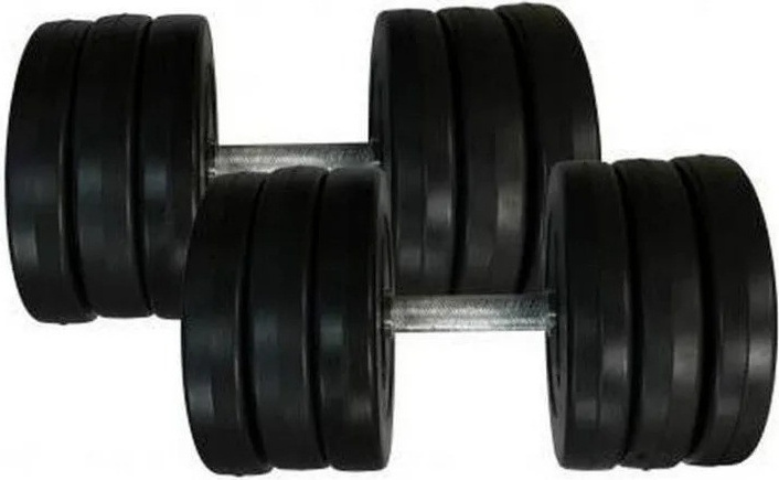 Гантель Newt Rock Pro-R 16, 5 кг 2 шт. Black набірні (NE-PL-R-016-2)