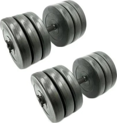 Гантель Newt Rock Pro 30.5 кг 2 шт Black набірні (NE-PL-G-030-2)