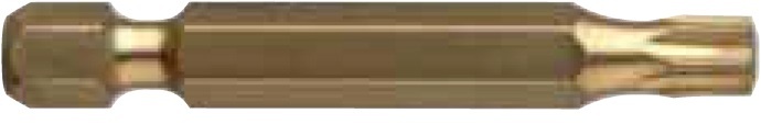 Набір біт USH ISOTIN TORX T40 x 50 мм Torsion (UUSG0203660) 10 шт