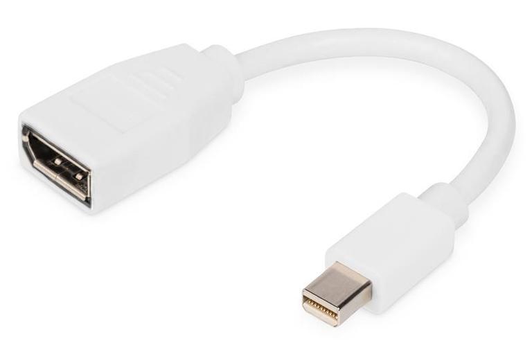 Перехідник Digitus DB-340405-001-W mini DisplayPort (тато) - DisplayPort (мама) White