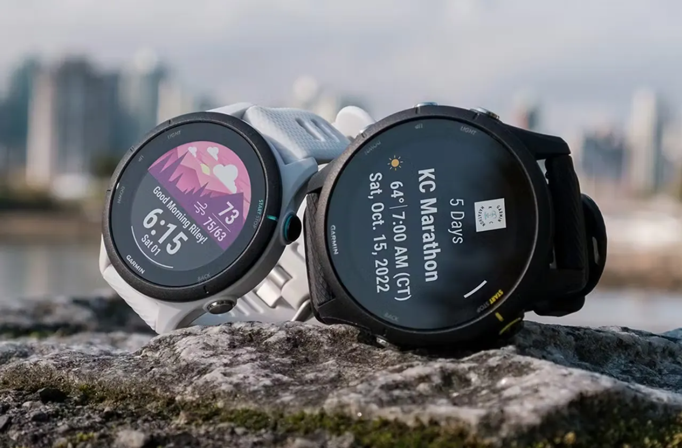 Смарт-годинник Garmin Forerunner 255 Slate Gray (010-02641-00