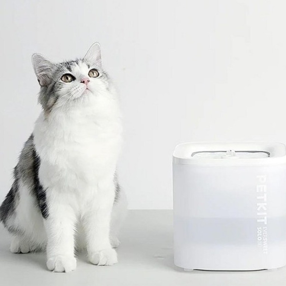 Поїлки для тварин Petkit Eversweet SOLO SE Smart Pet Drinking